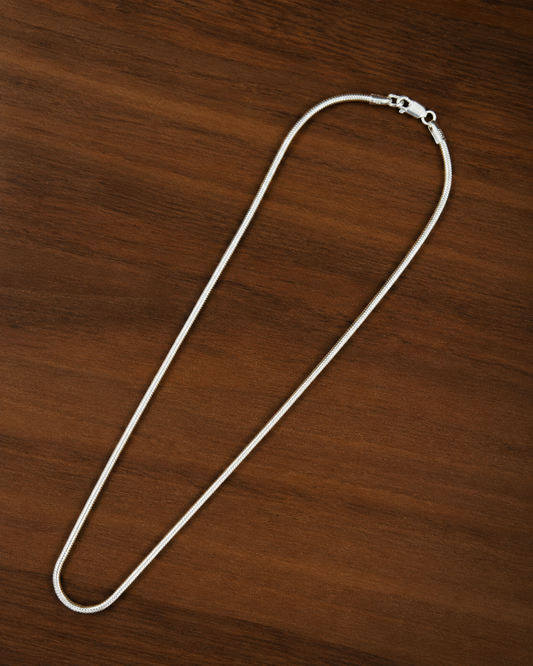 Sleek Snake Chain