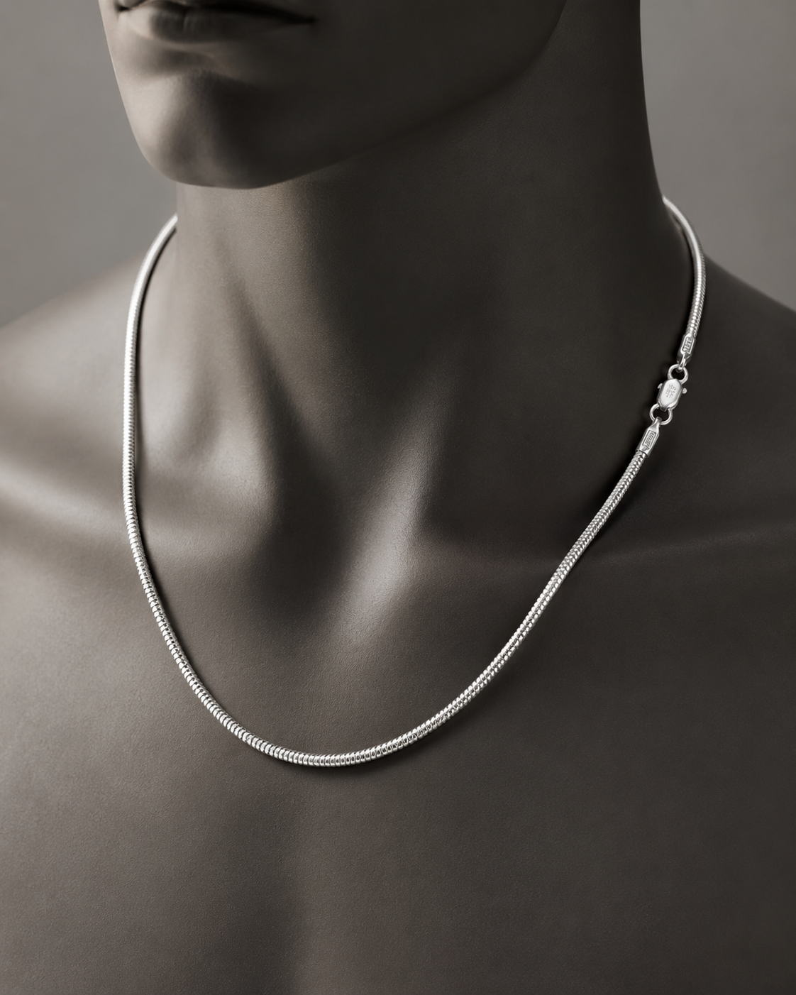 Sleek Snake Chain